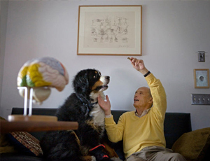 ddos在线攻击工具