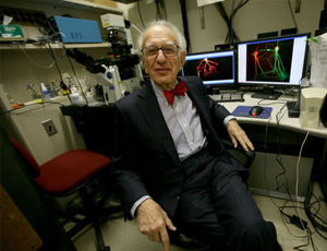 正版最便宜的ddos攻击